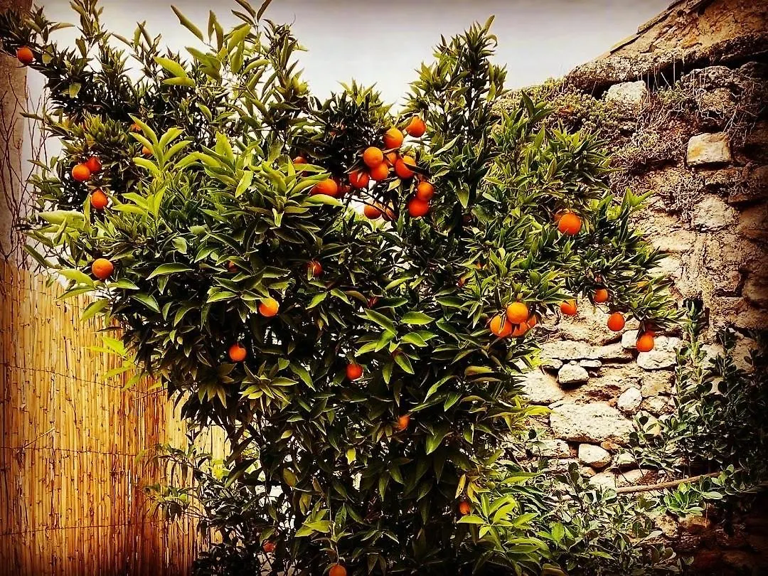Сasa de vacaciones Villa Casa Mandarina Alhama de Granada España