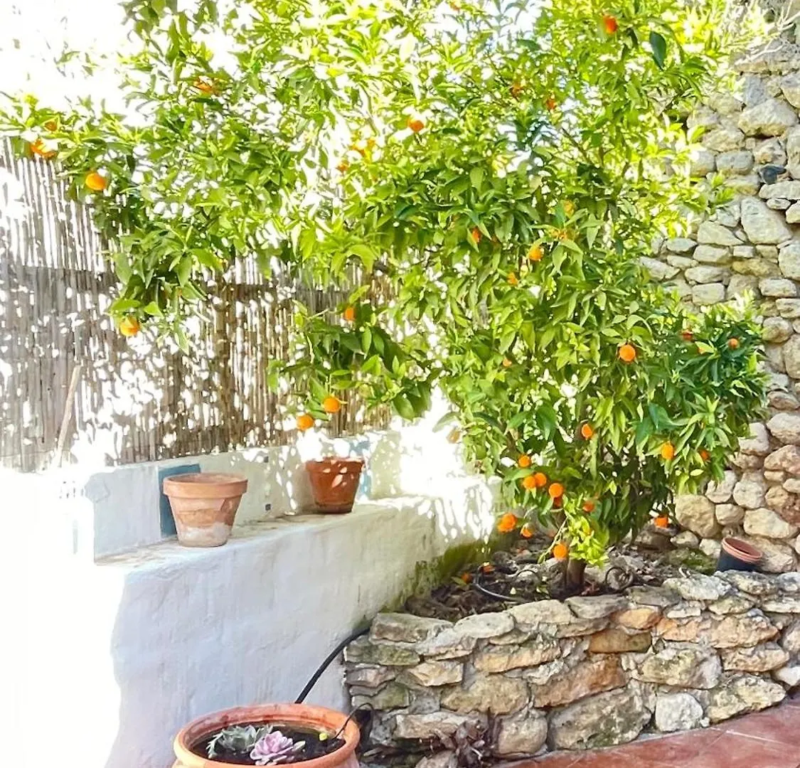 Villa Casa Mandarina Alhama de Granada 0*,